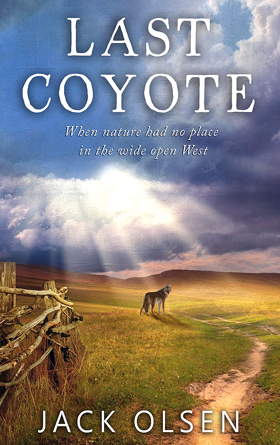 Buchumschlag Design von Tatlin für dieses Projekt | Design #4317239