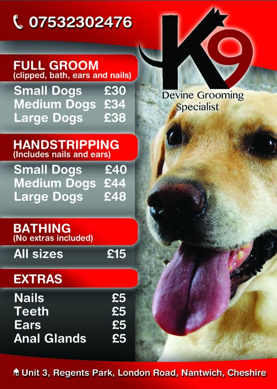 Diseño de Flyer por alessandroevge para este proyecto | Diseño #4269606