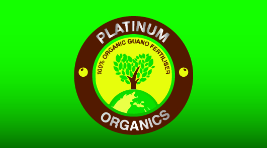 Business Card Design by Oscar Chavez Espinosa for this project | Design #4257849