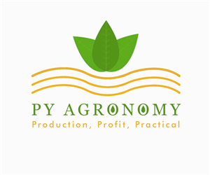 Logo Design by softvitals