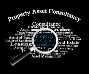 Logo Design by Zemheri for Property Asset Consultancy | Design: #1238135