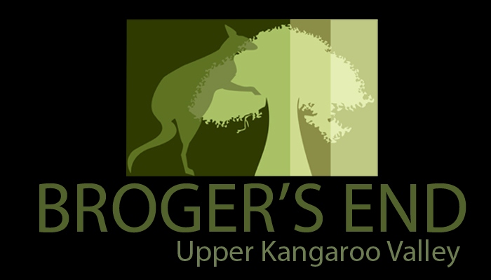 Logo-Design von tyrone delos reyes für Captia | Design #176584