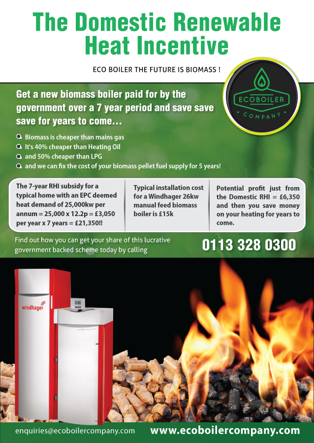 Flyer Design by meet007 for this project | Design #4294458