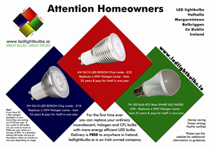 Flyer Design by Eclectic Design for this project | Design #180227