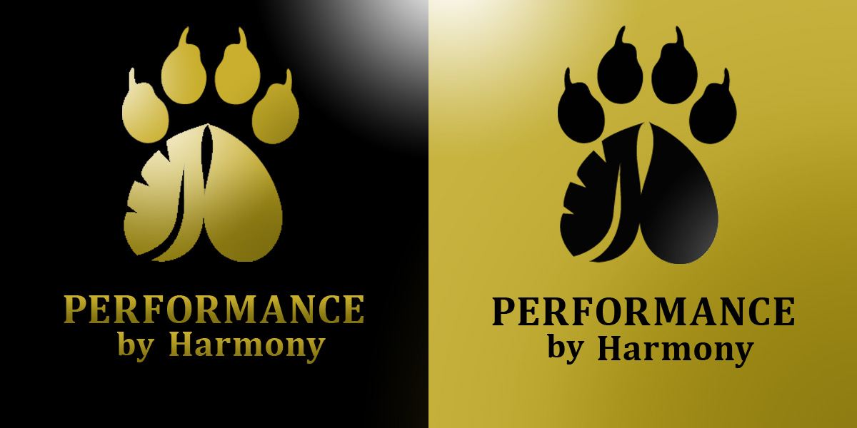 Diseño de Logo por jillianhailey para este proyecto | Diseño #1222637