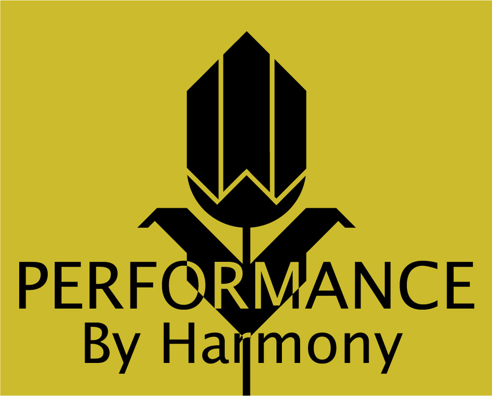 Logo Design by ates gulcugil for this project | Design #1212515