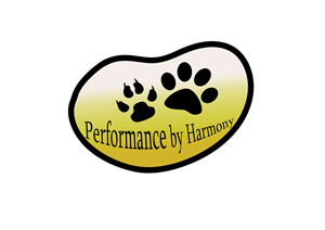 Logo Design by DeadlyPoison