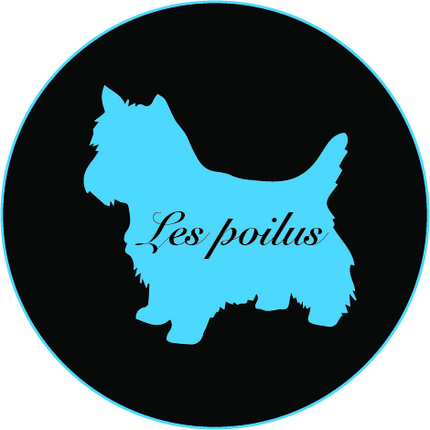 Design de Logo par taylajstewart pour Furballs Pet Services | Design #4270400