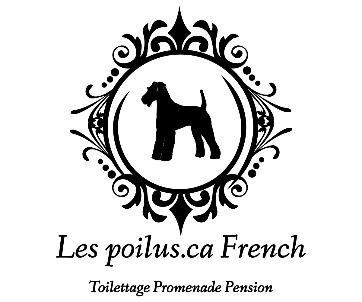 Logo Design by Designs Team for Furballs Pet Services | Design #4312917