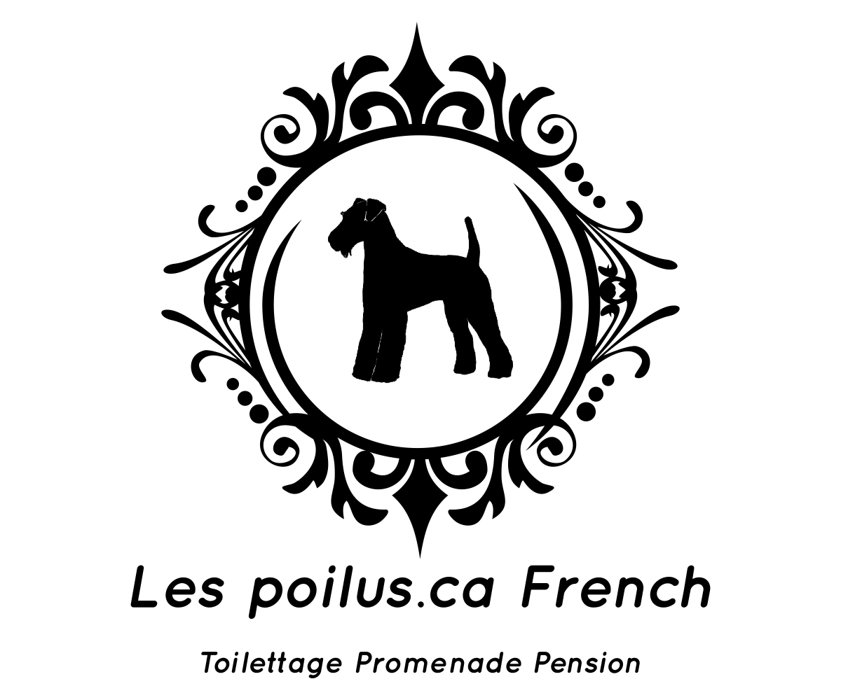 Logo Design by Designs Team for Furballs Pet Services | Design #4312925