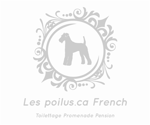Logo Design by Designs Team for Furballs Pet Services | Design: #4312934
