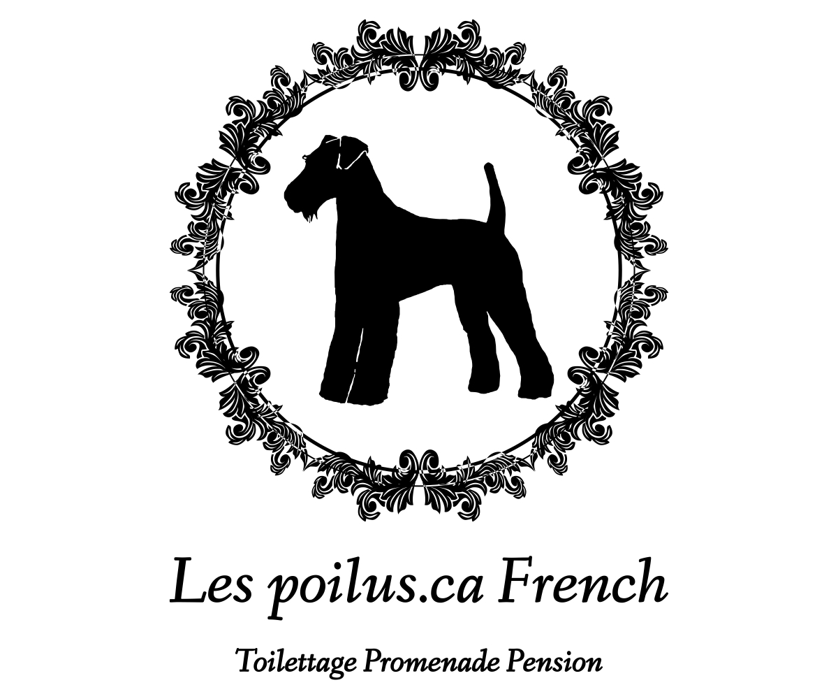 Logo Design by Designs Team for Furballs Pet Services | Design #4312940