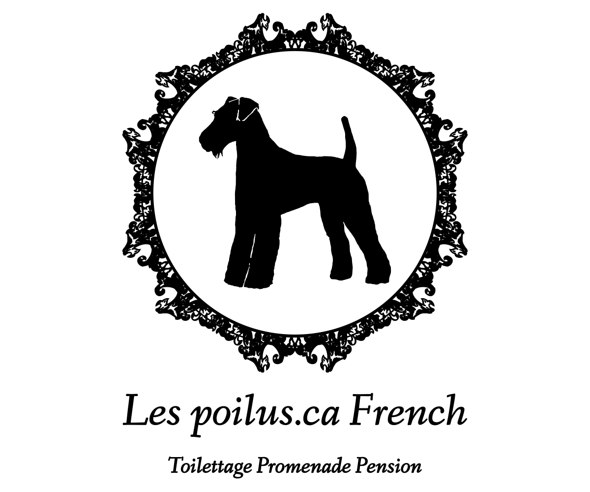 Logo Design by Designs Team for Furballs Pet Services | Design #4312944