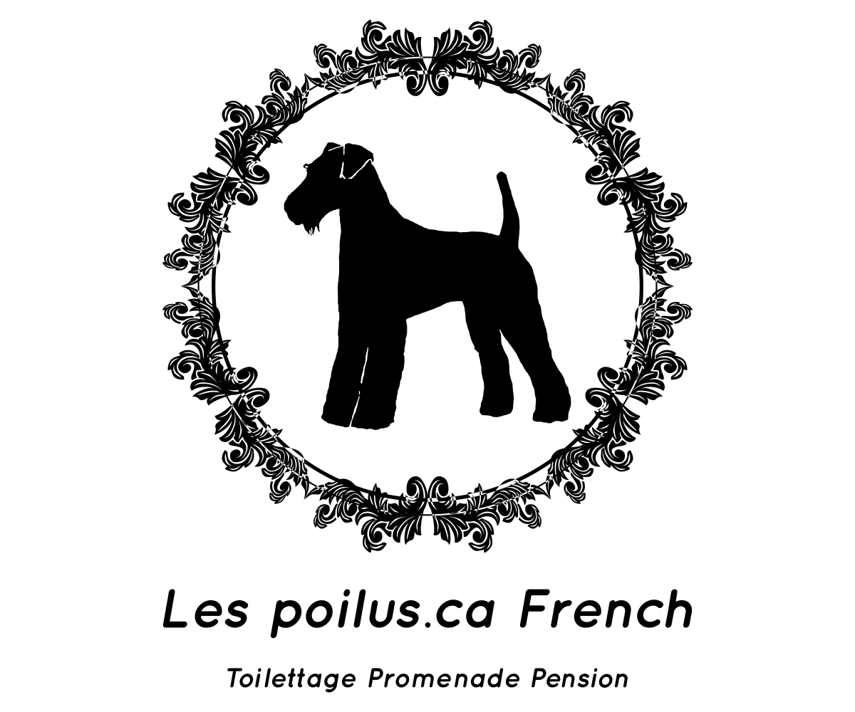 Logo Design by Designs Team for Furballs Pet Services | Design #4312948