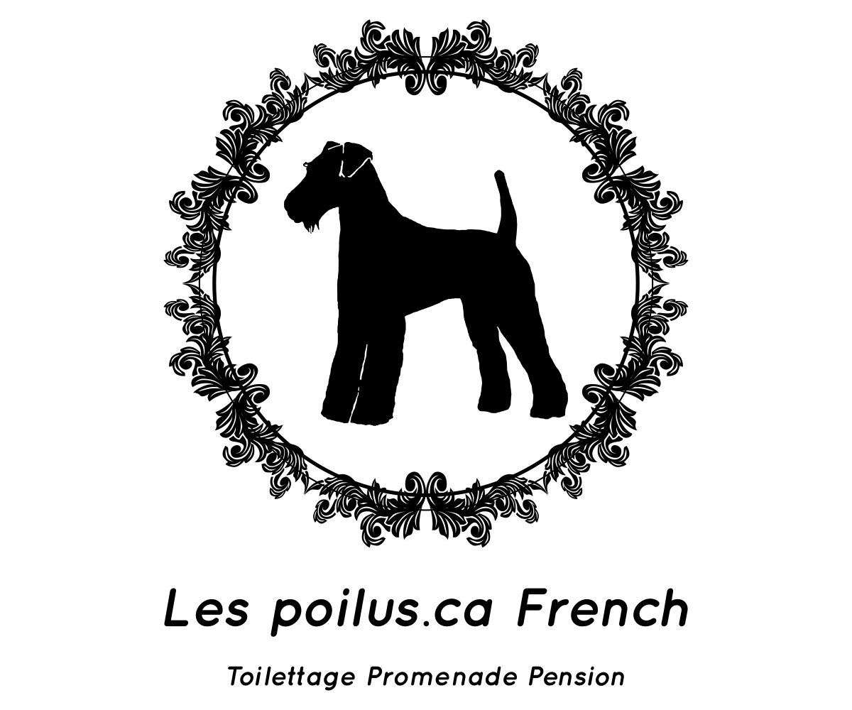 Logo Design by Designs Team for Furballs Pet Services | Design #4312950