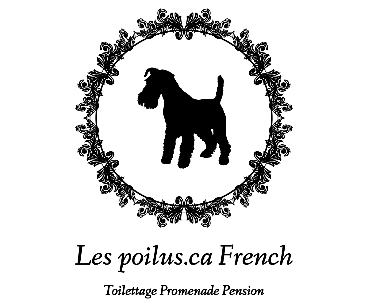 Logo Design by Designs Team for Furballs Pet Services | Design #4312957
