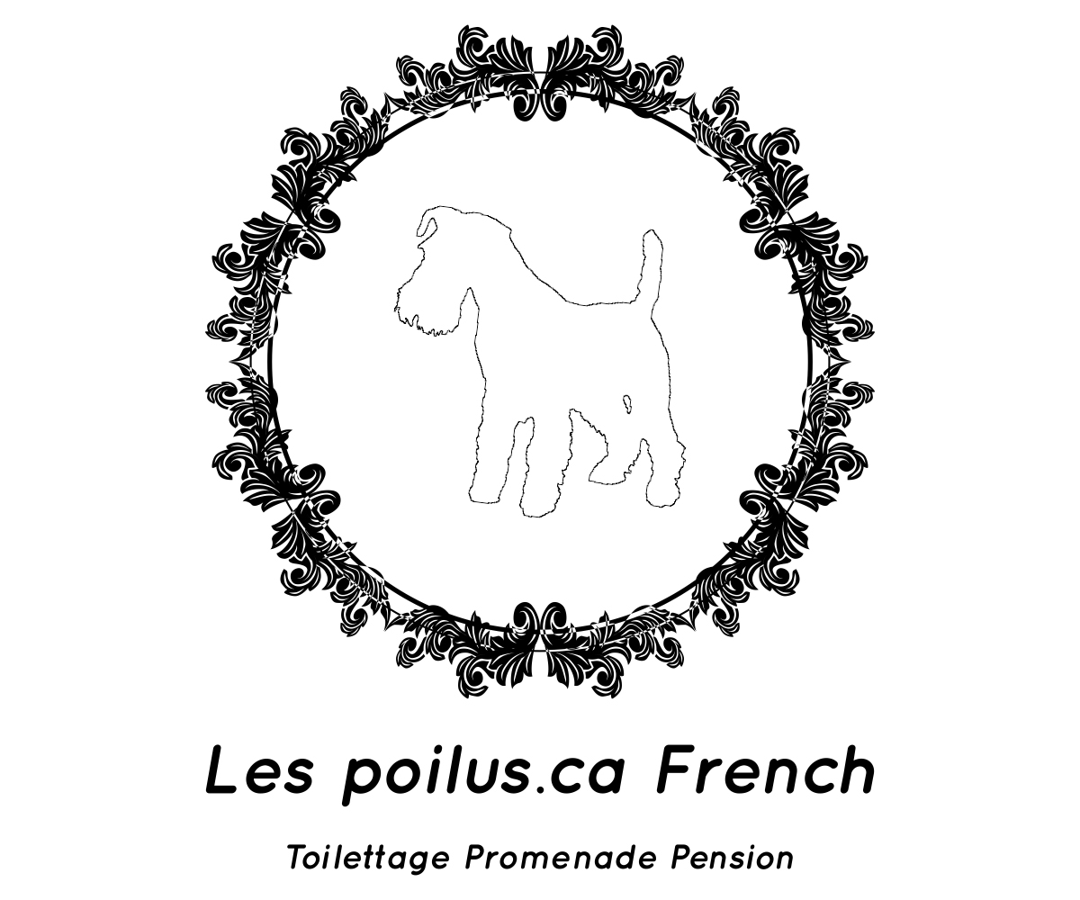 Logo Design by Designs Team for Furballs Pet Services | Design #4312963
