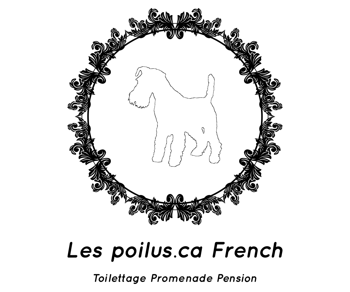 Logo Design by Designs Team for Furballs Pet Services | Design #4312966