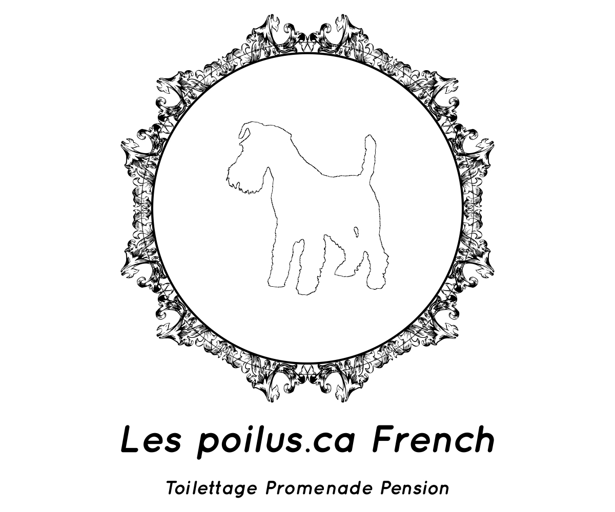 Logo Design by Designs Team for Furballs Pet Services | Design #4312969