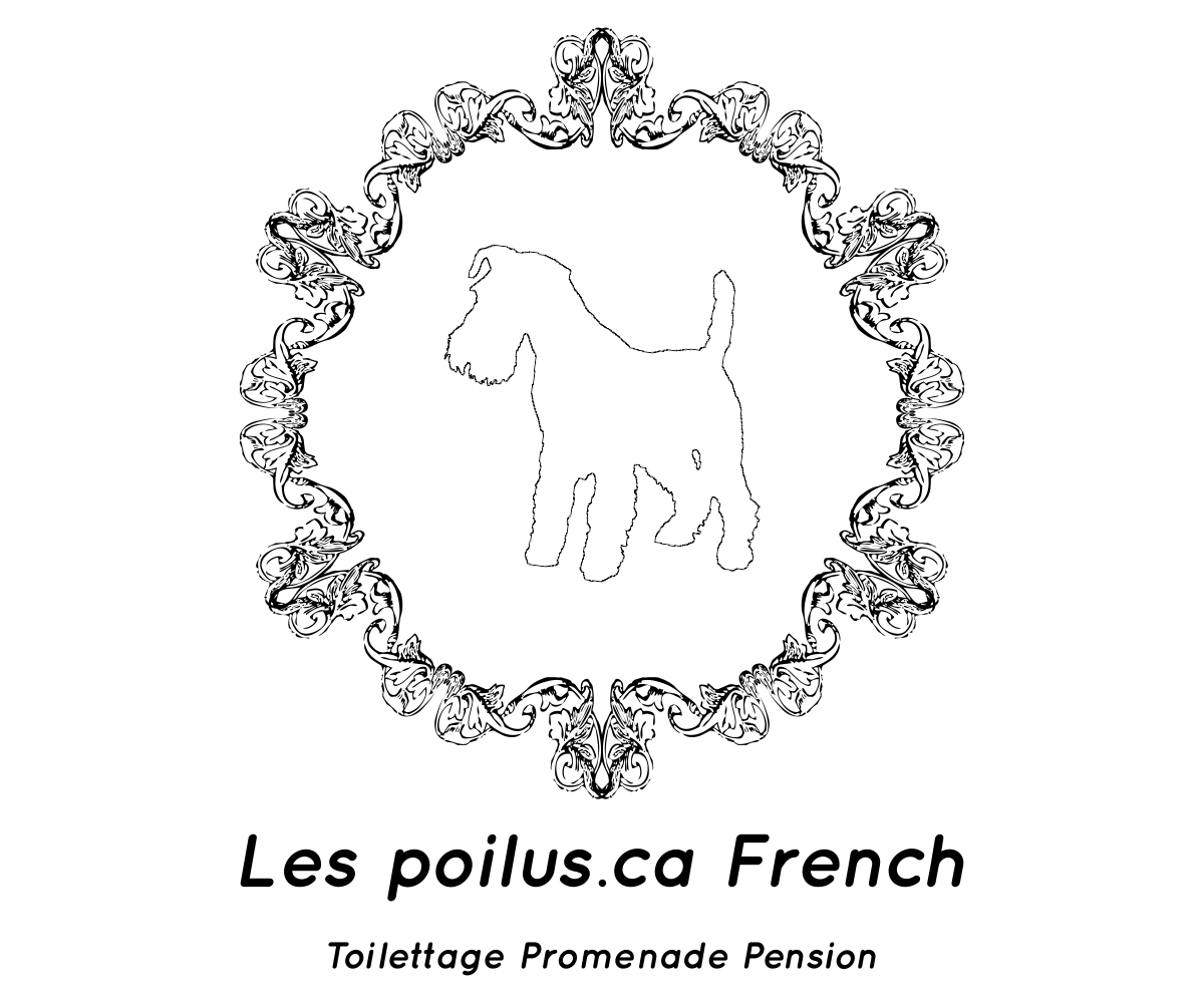 Logo Design by Designs Team for Furballs Pet Services | Design #4312971