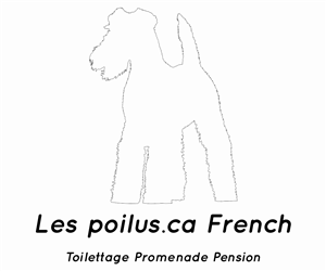 Logo Design by Designs Team for Furballs Pet Services | Design: #4312976