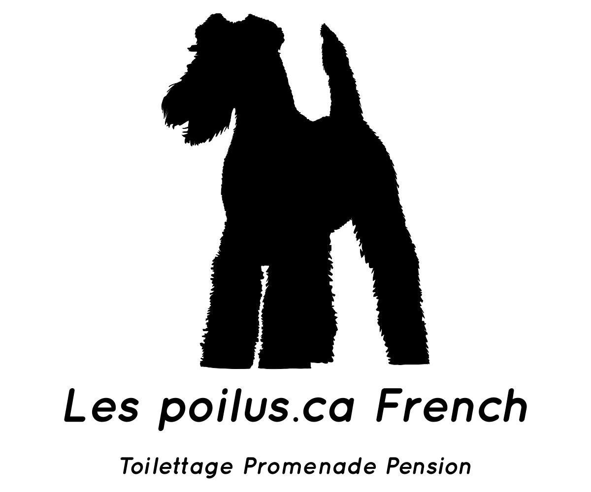 Logo Design by Designs Team for Furballs Pet Services | Design #4312978