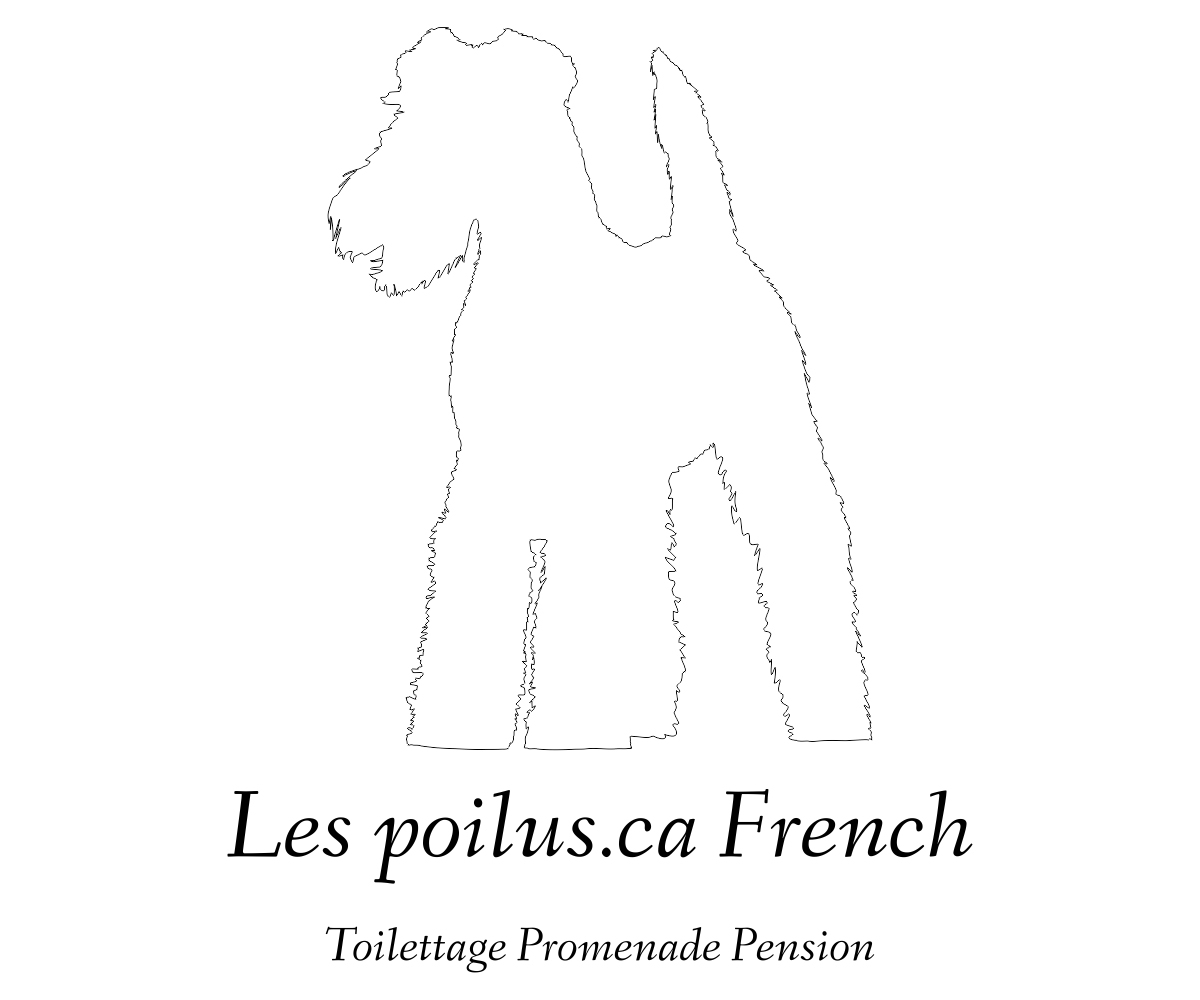 Logo Design by Designs Team for Furballs Pet Services | Design #4312979