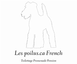 Logo Design by Designs Team for Furballs Pet Services | Design: #4312979