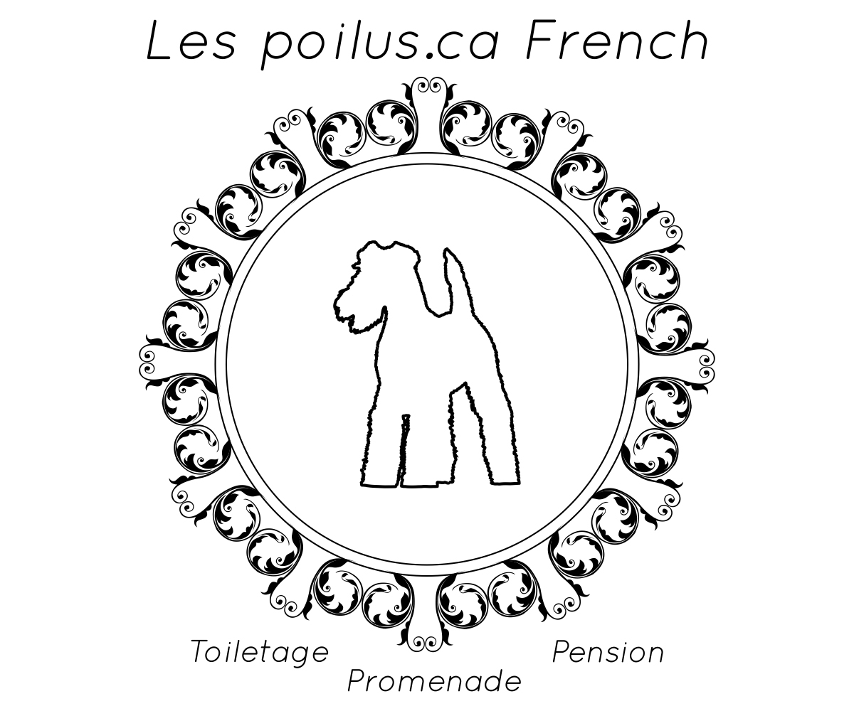 Logo Design by Designs Team for Furballs Pet Services | Design #4312987