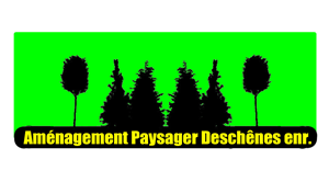 Diseño de Logo por Studio Jade para este proyecto | Diseño: #1220750