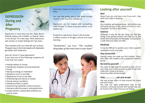 Brochure Design by sheni for this project | Design: #1283203