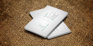 Business Card Design by WebixBD for this project | Design: #4271253