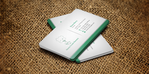 Business Card Design by WebixBD for this project | Design: #4271265