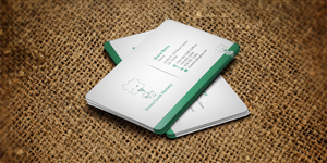 Business Card Design by WebixBD for this project | Design: #4271279