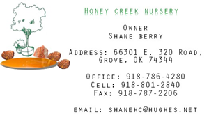 Business Card Design by In Demand