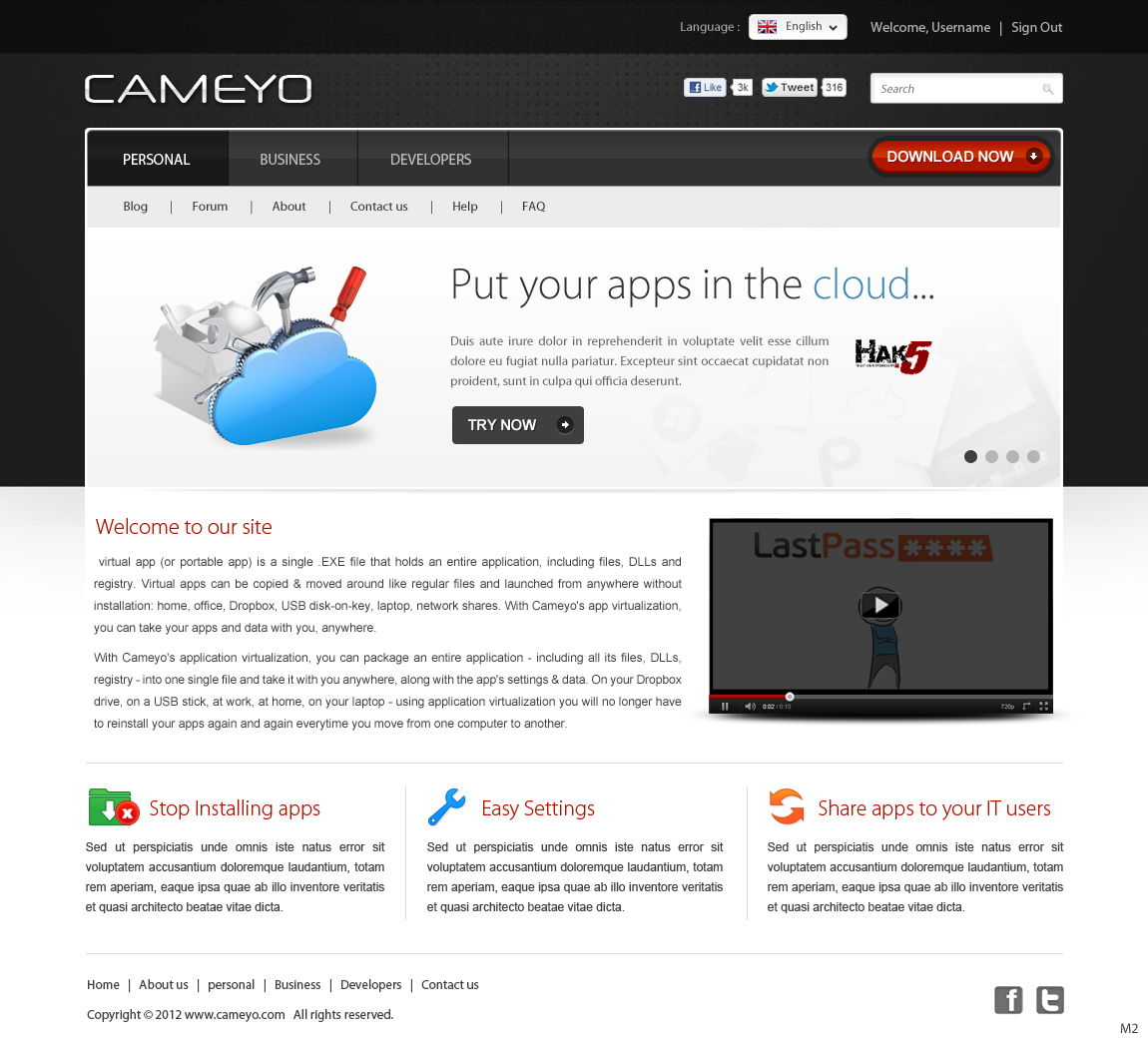 Web Design by pb for Cameyo | Design #1216659