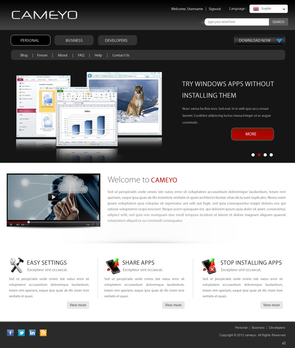 Web Design by pb for Cameyo | Design #1218102