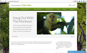 Wordpress Design by an3