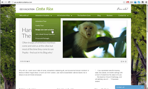 Wordpress Design by an3 for Manu | Design: #1245039