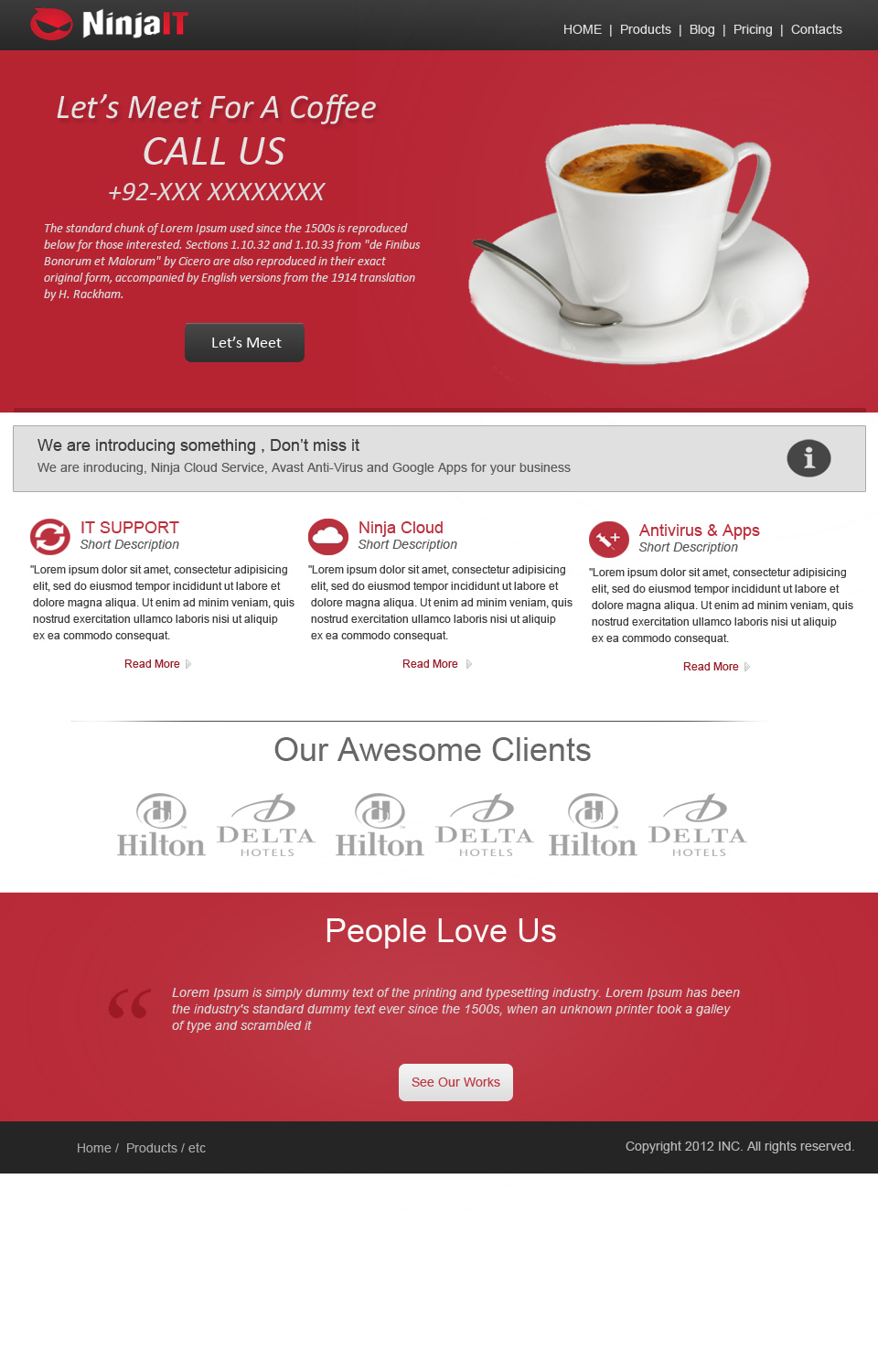 Web Design by Awais Raza for this project | Design #1248790