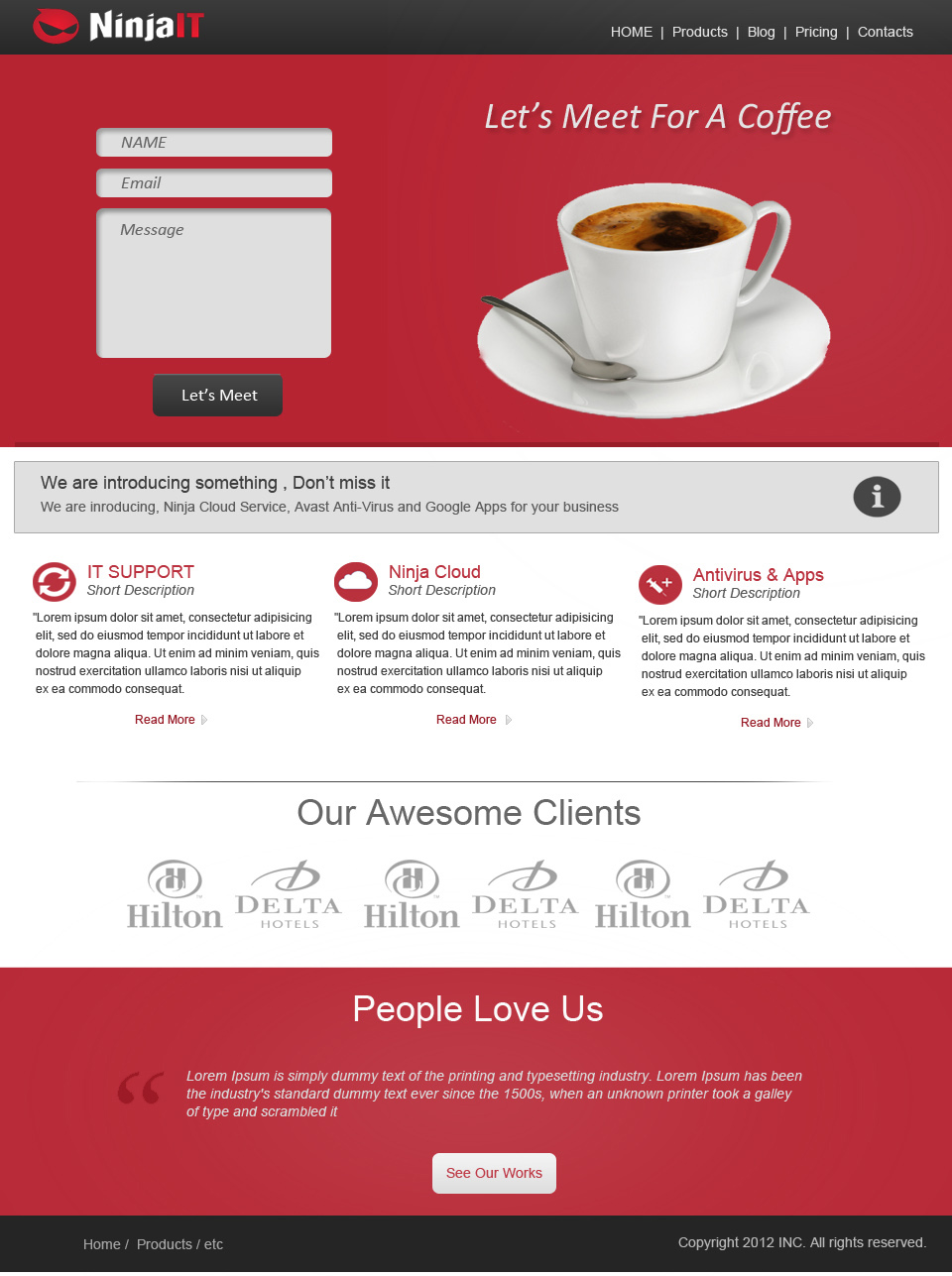 Web Design by Awais Raza for this project | Design #1248799