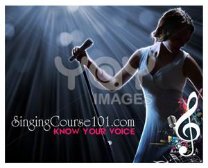 Web Design by Expert Designer