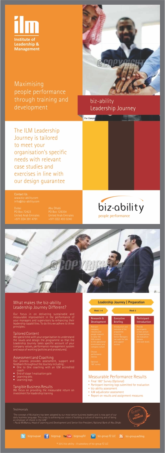 Diseño de Flyer por barinix para este proyecto | Diseño #1291201