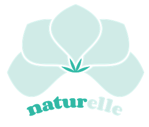 Logo Design by Silvr_North