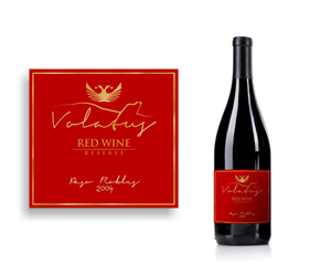 Logo Design by DesignMX (Renan Mejia)