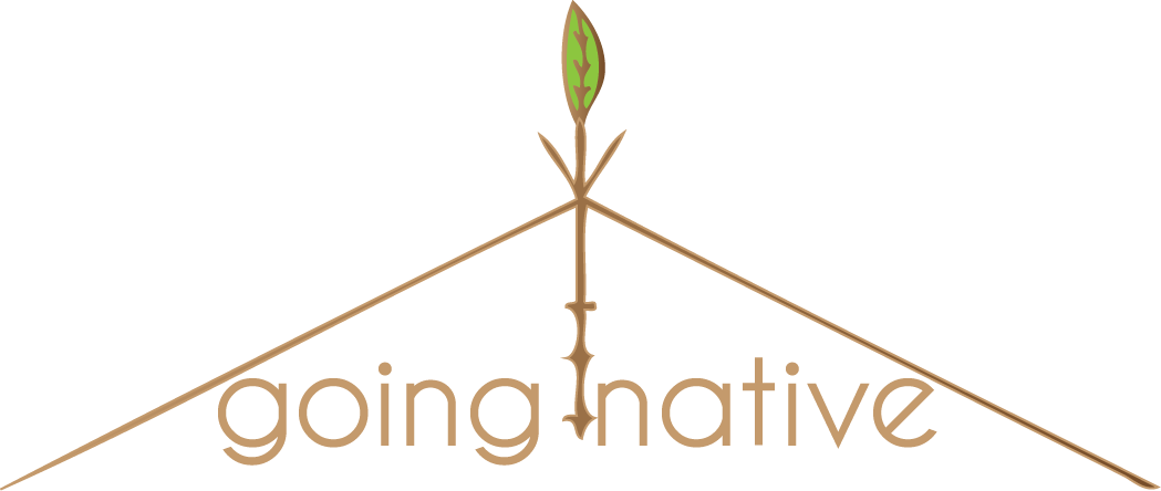 Logo Design by Jason Al-Haddad for Puddleduck Valley | Design #176761