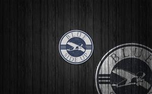 Logo-Design von FutureDesigne für Blue Side Up of SC LLC. | Design: #4348334