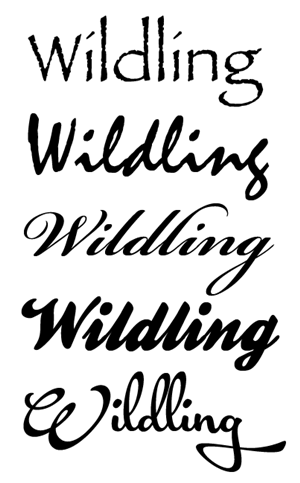 Logo Design by shameem3