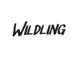Logo-Design von MessyDesk für dieses Projekt | Design #4299047