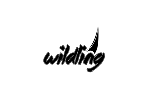 Logo Design by DesignSence